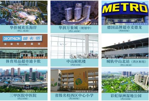 中山棕榈峦别墅 户型、价格、发展前景与海口软件开发机遇深度解析