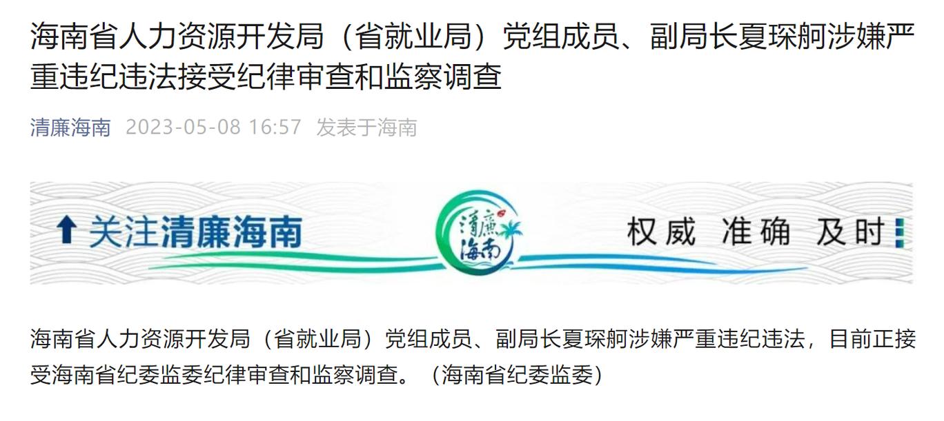 海南省人力资源开发局副局长夏琛舸接受审查调查 廉政建设与海口软件开发的启示